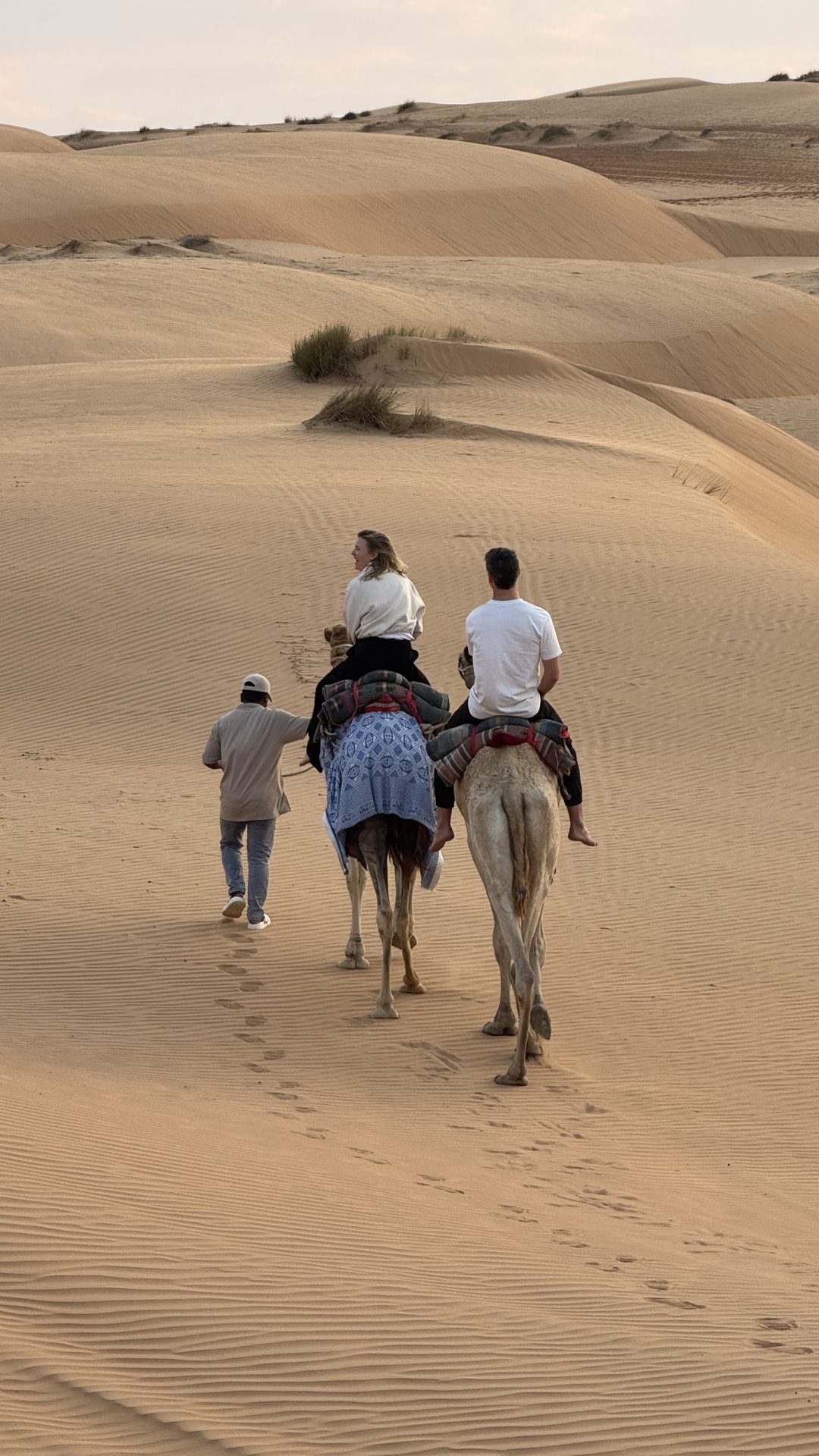 Camel Riding - 30 minutes